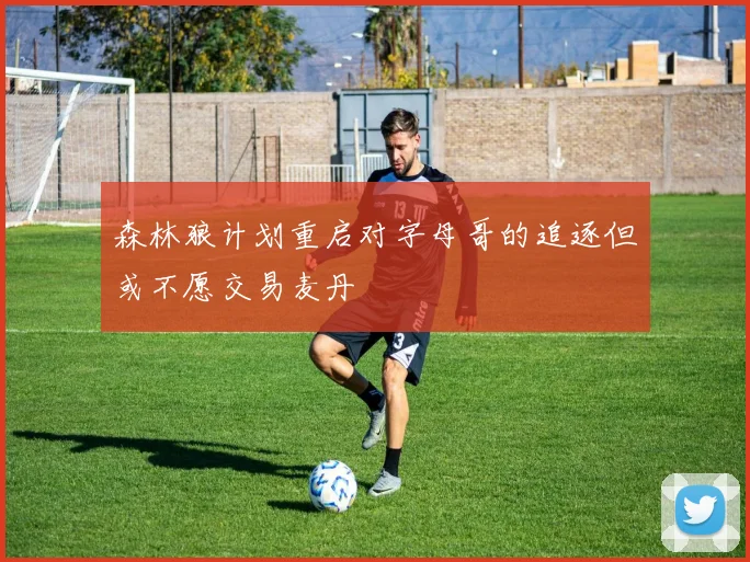 森林狼计划重启对字母哥的追逐但或不愿交易麦丹